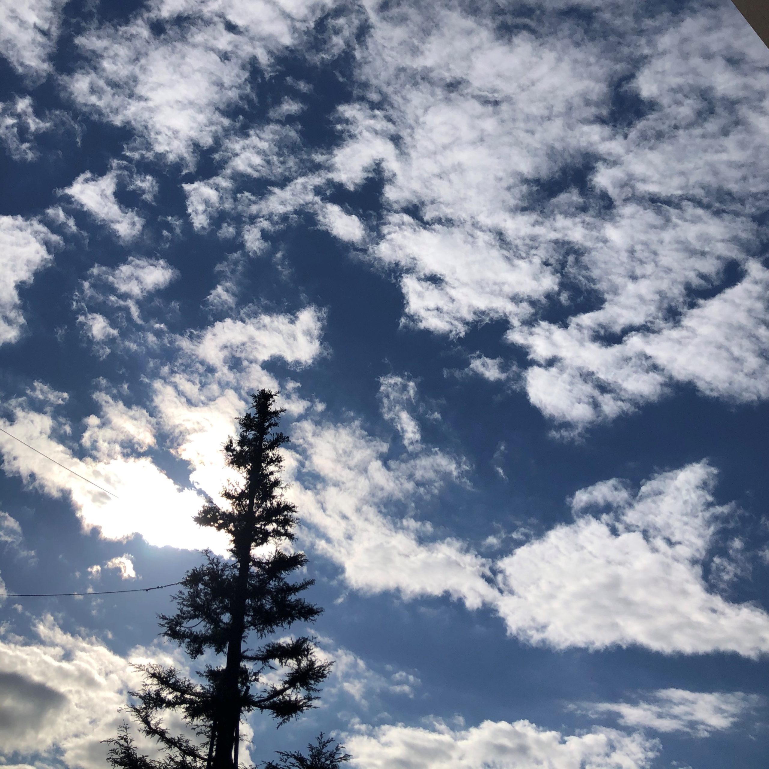 ナーディ ショーダナ 片鼻呼吸 Tenthera